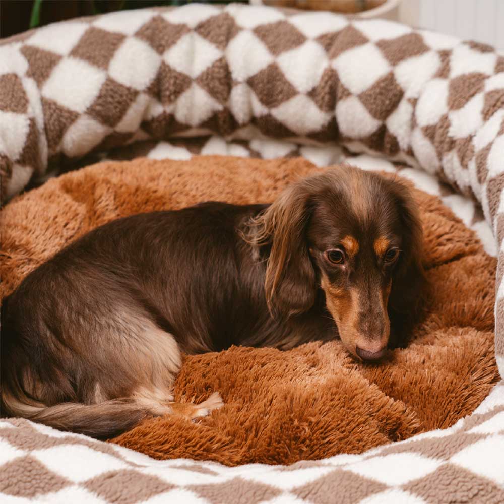 Klassisches, waschbares Donut-Hundebett mit Argyle-Muster – Cozy Haven