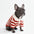 Classic Striped Polo Dog Shirts