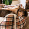Bed de perro calmante de perros de refuerzo retro a cuadros clásico - Retiro nostálgico