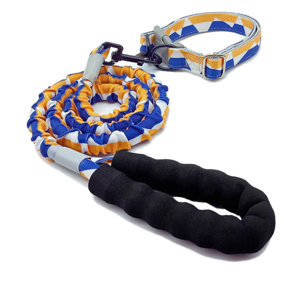 Grande laisse et collier colorés de chien de corde de traction d'élasticité élevée