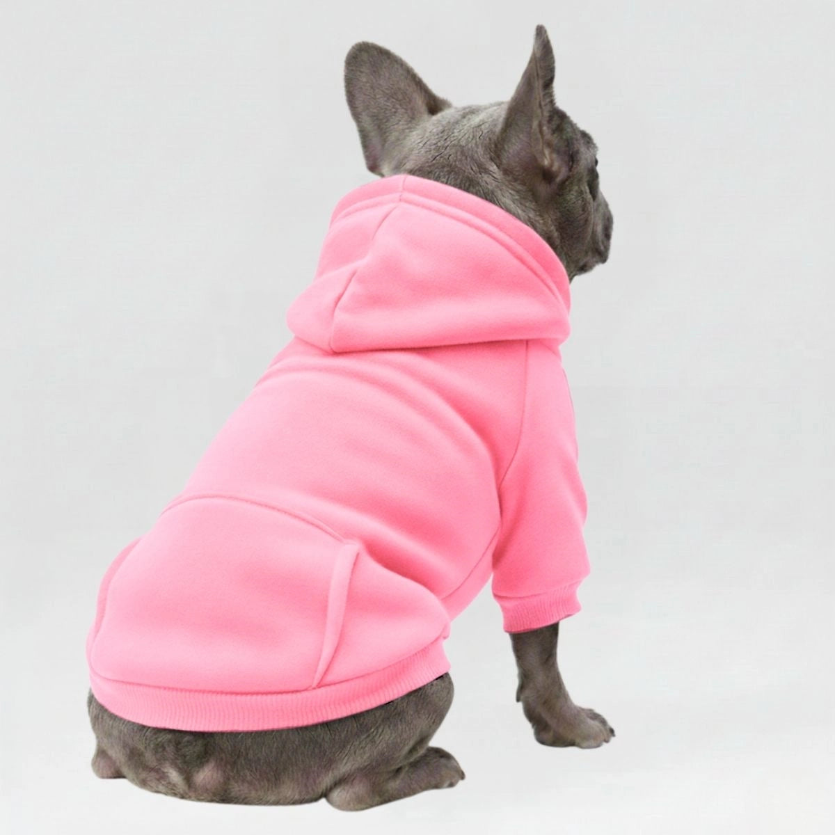 Colorful Cozy Dog Hoodies - Perfect for All-Weather Comfort