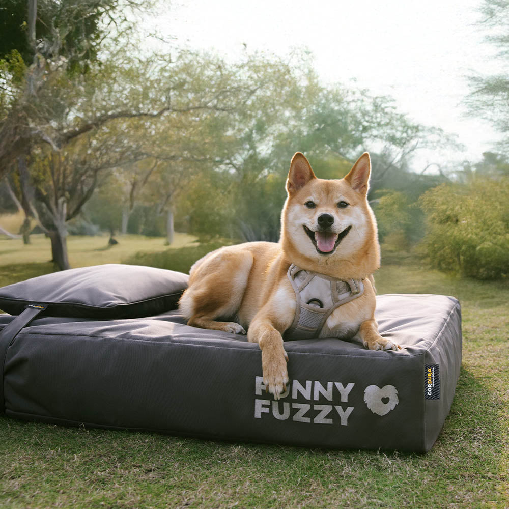 CorduraTech Waterproof Anti-Scratch Dog Bed Cover Or Pillow Set - EverShield
