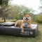 CorduraTech Waterproof Anti-Scratch Dog Bed Cover Or Pillow Set - EverShield