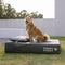CorduraTech Waterproof Anti-Scratch Dog Bed Cover Or Pillow Set - EverShield