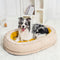 Flauschiges orthopädisches Hundebett Donut