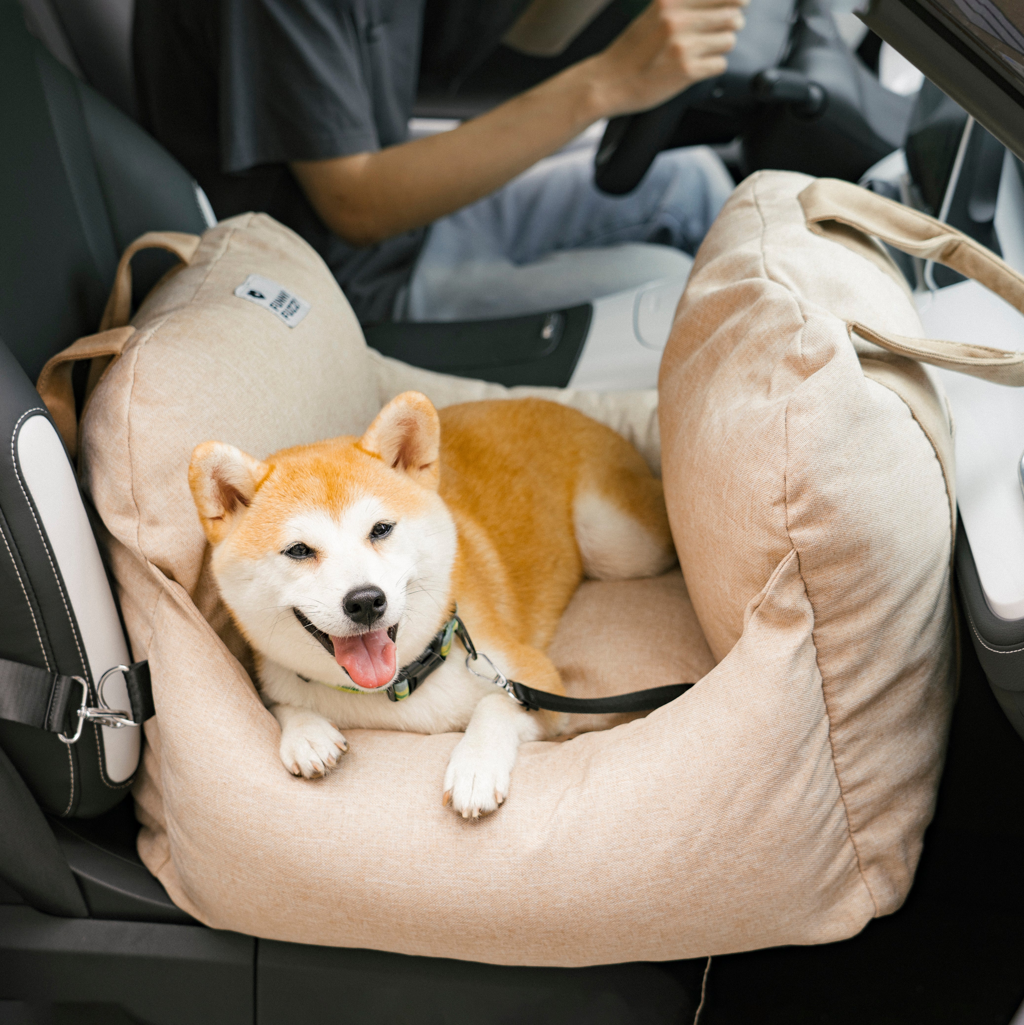 Letto per seggiolino auto per cani - Prima classe