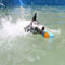 Juguete para perros interactivo juguete al aire libre juguete de agua flotante