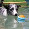 Juguete para perros interactivo juguete al aire libre juguete de agua flotante