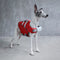 Chaqueta de salvavidas para perros - salvavidas