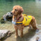 Chaqueta de salvavidas para perros - salvavidas