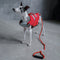 Chaqueta de salvavidas para perros - salvavidas