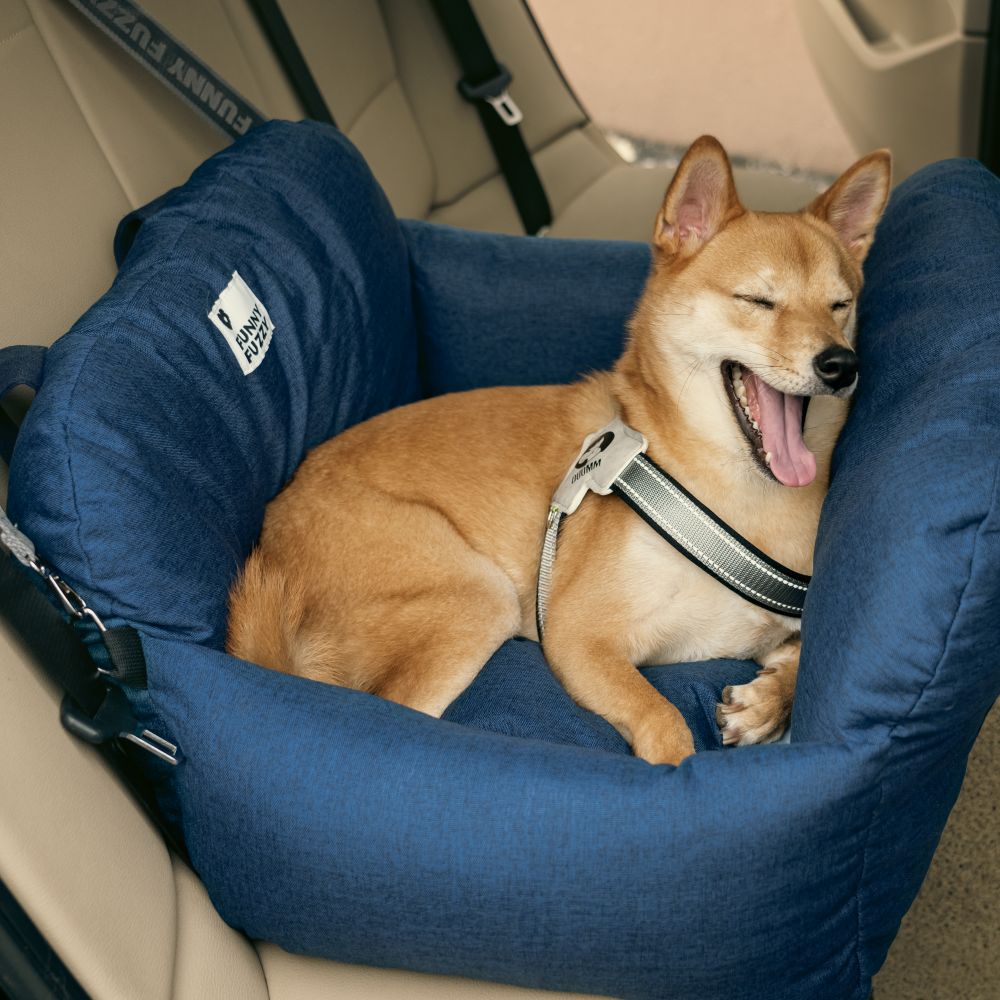 Autositzbett für Hunde – First Class