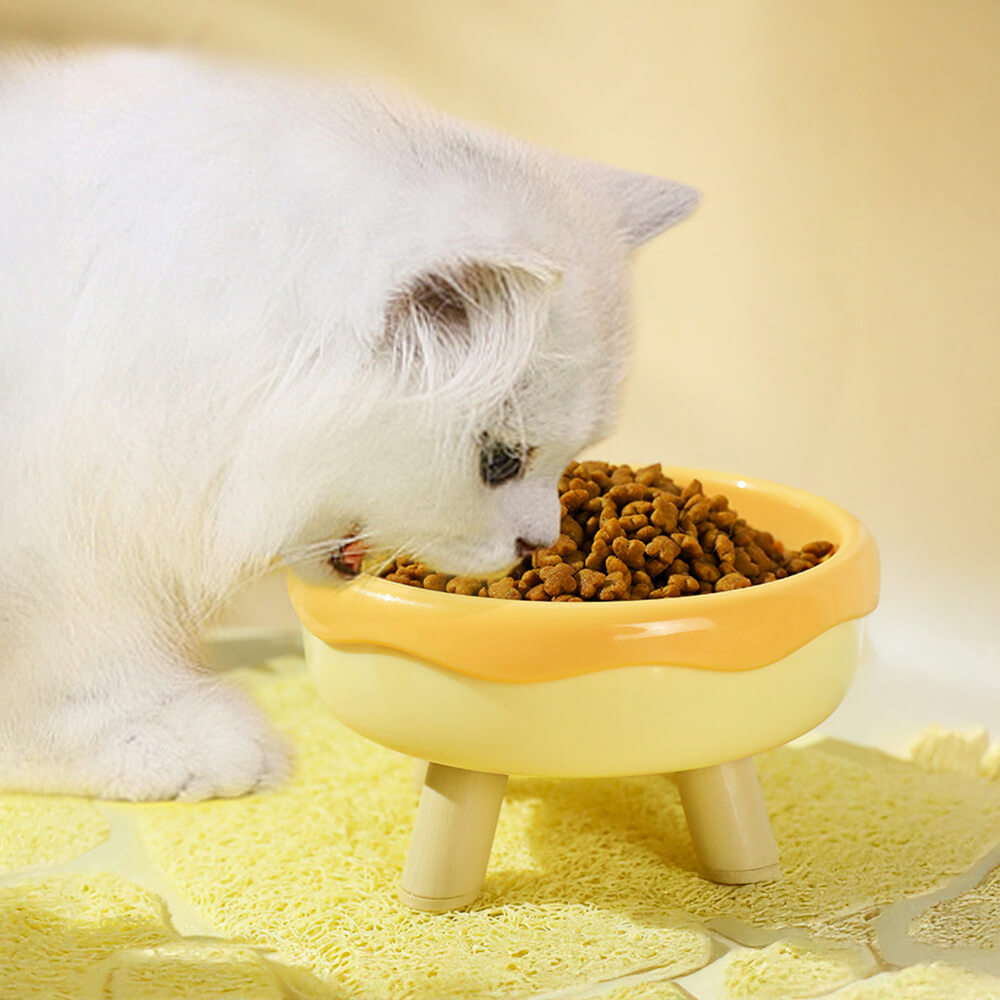 Donut Elevated Neck Guard Pet Bowl