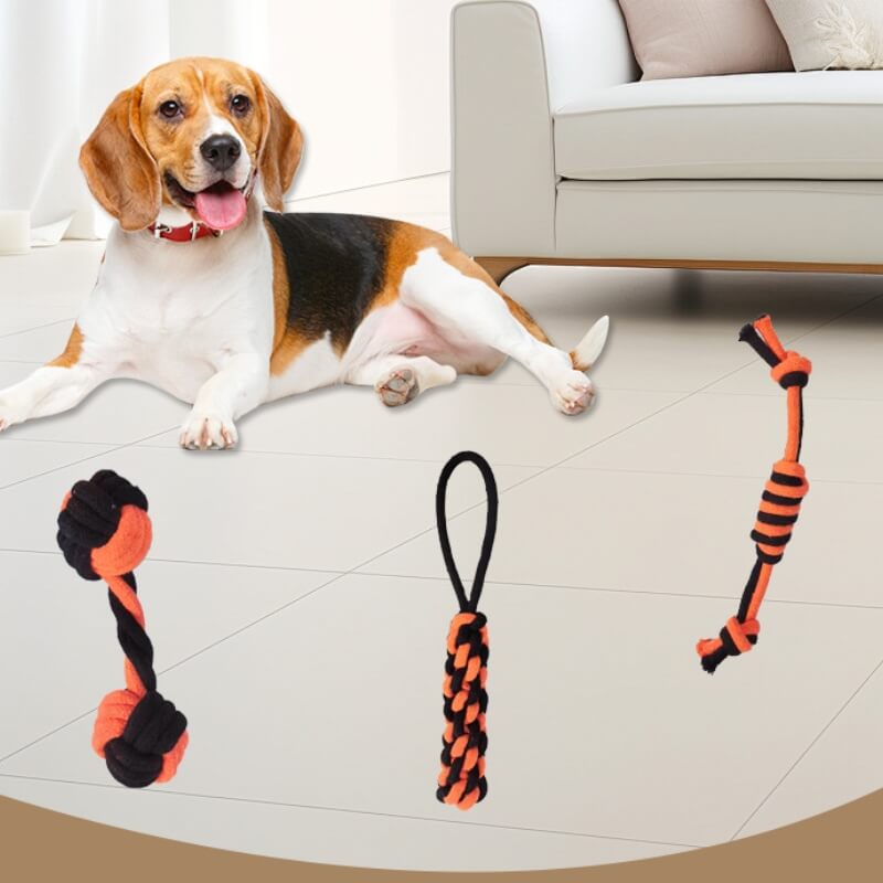 Durable Dog Rope Toy Interactive Teething & Chew Toy