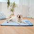 Estera para perros sin deslizamiento de enfriamiento grande - siesta de enfriamiento