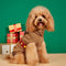 Christmas espesos calientes de perros tortuga calientes calcetines a juego para mascota y propietario