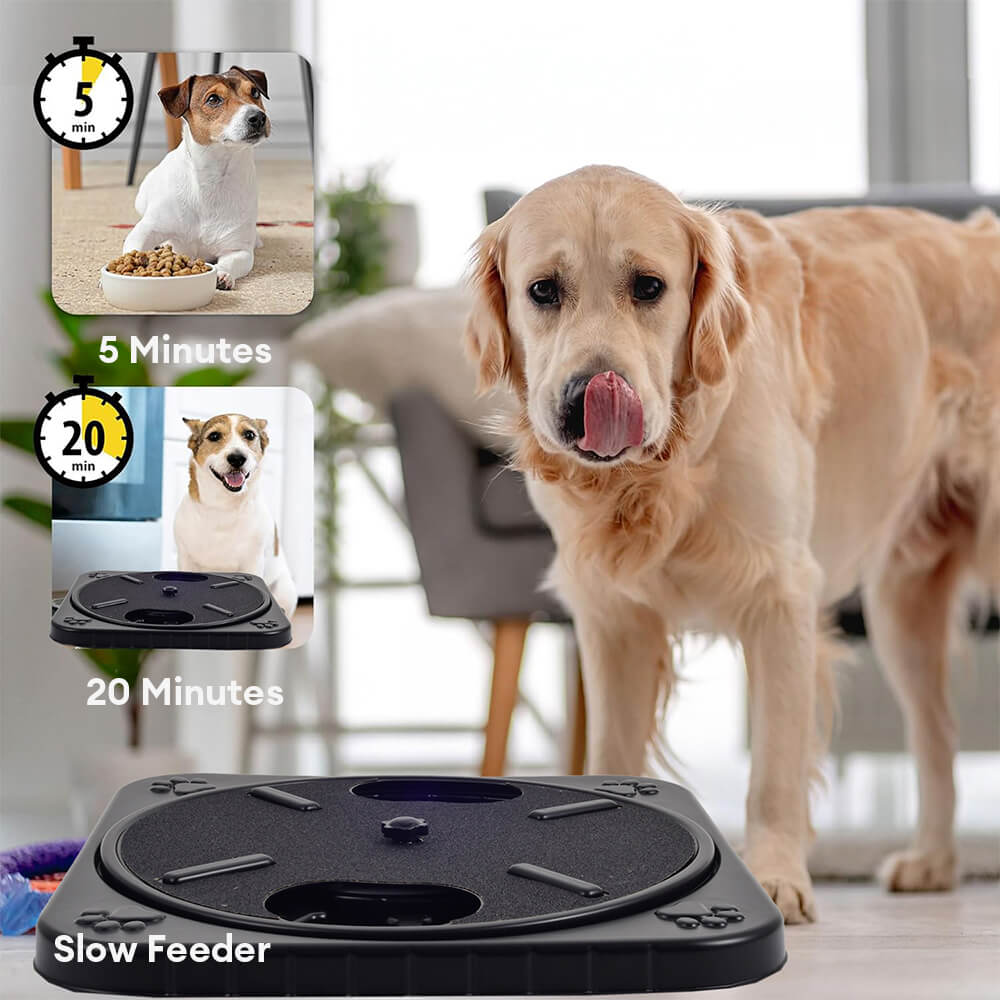 2-in-1 Treat Puzzle and Nail File Toy Dog Interactive Toy