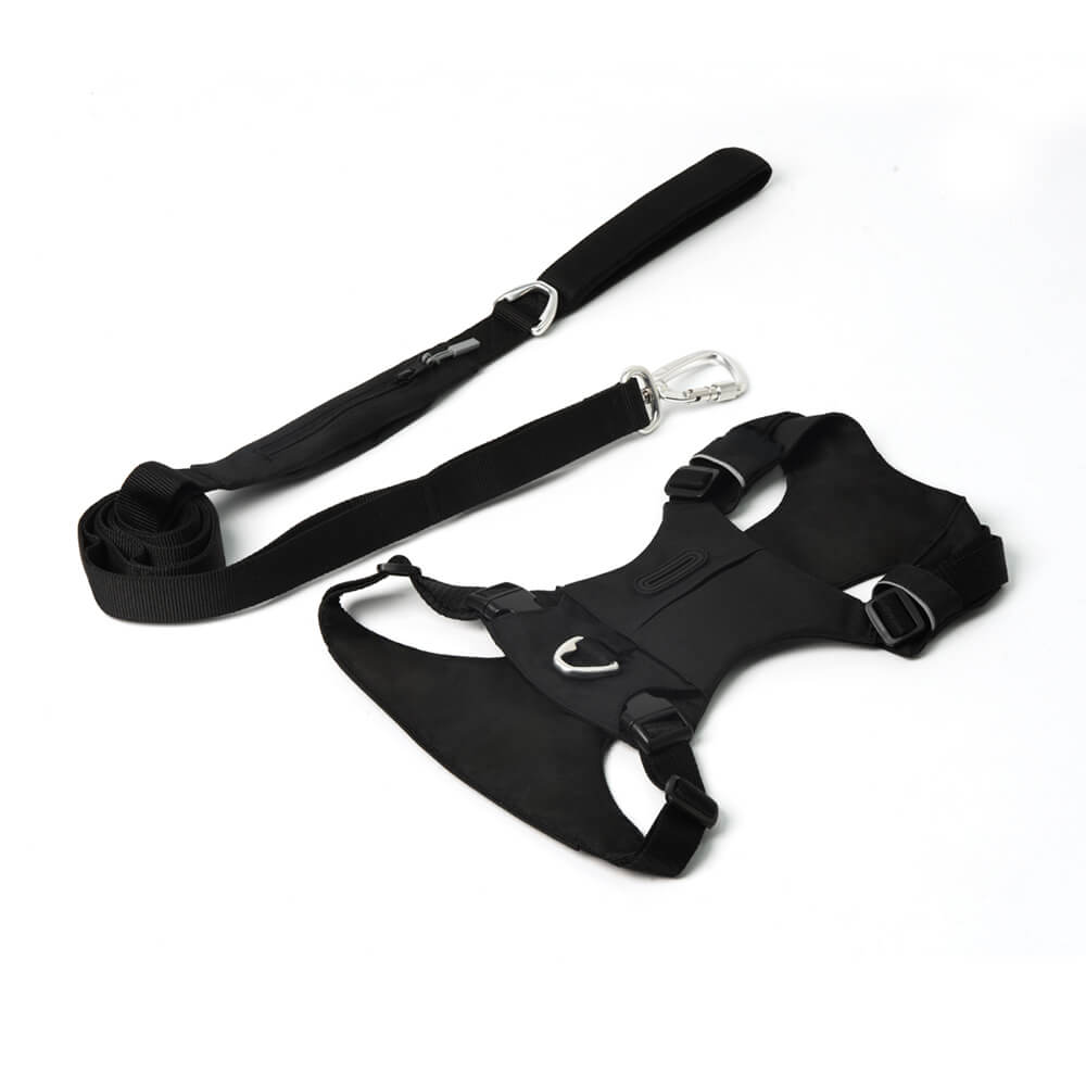 Adjustable Multi-Handle Dog Harness and Leash Kit