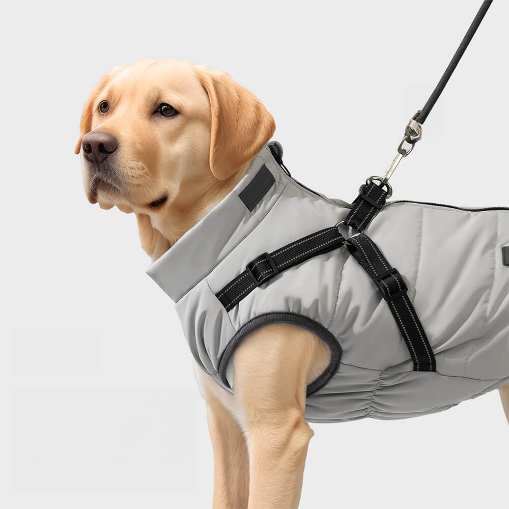 Verstellbare, wasserdichte, warme Outdoor-Hundegeschirrjacke