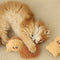 Baked Treats  Plush Interactive Playful Cat Toy Set