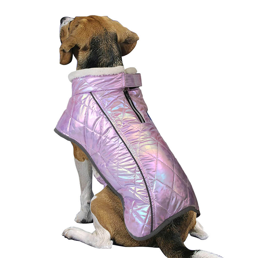 Veste chaude réfléchissante imperméable colorée éblouissante pour chien