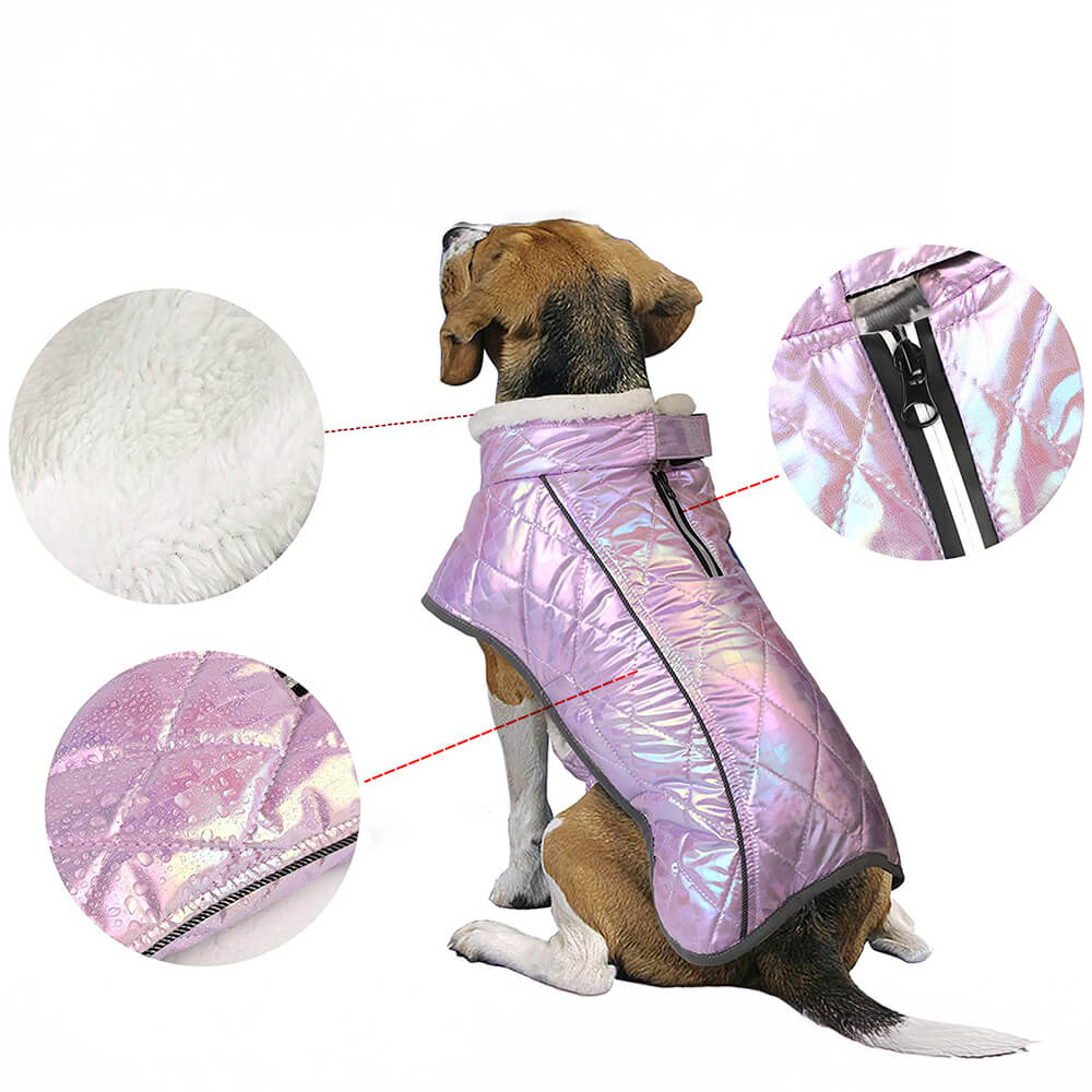 Veste chaude réfléchissante imperméable colorée éblouissante pour chien