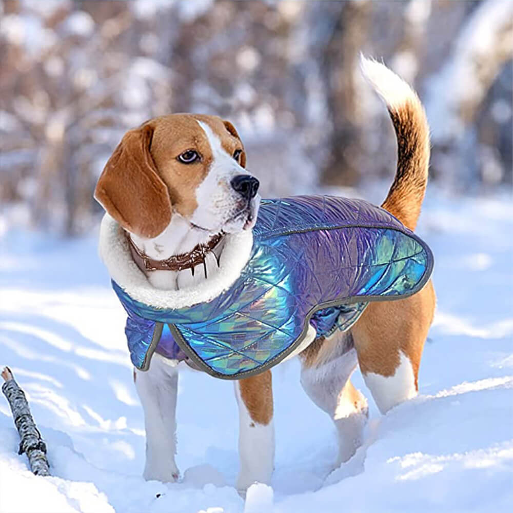 Veste chaude réfléchissante imperméable colorée éblouissante pour chien