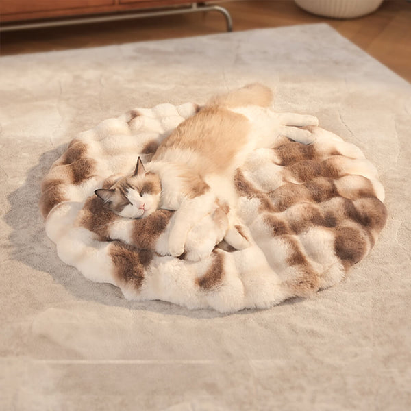 Matina redonda de perros y gatos redondos para el calentamiento con almohada con almohada