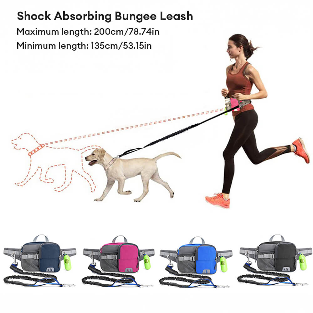 Outdoor Waterproof 3 in 1 Multi-Function Leash Dog Training Waist Bag Set