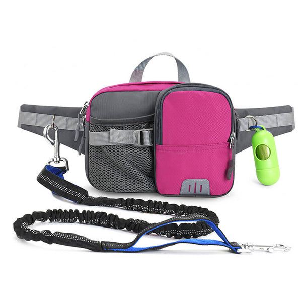 Outdoor Waterproof 3 in 1 Multi-Function Leash Dog Training Waist Bag Set