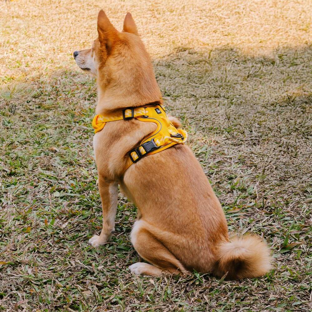 FUNNYFUZZY Reflektierendes, verstellbares Hundegeschirr für den Außenbereich – Flexi Walker