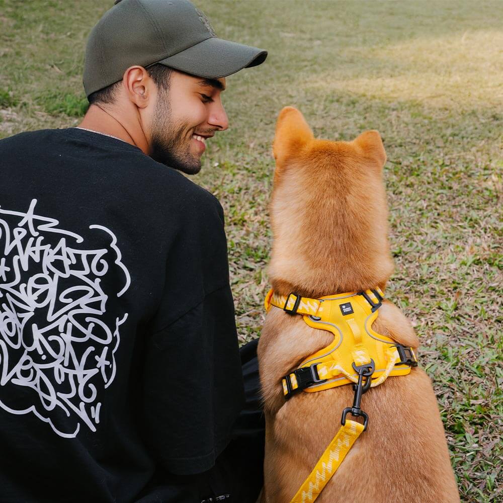 FUNNYFUZZY Reflektierendes, verstellbares Hundegeschirr für den Außenbereich – Flexi Walker