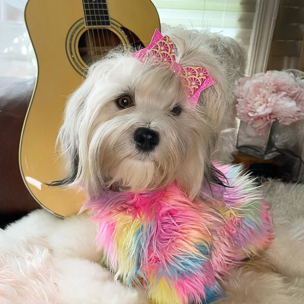 Stylish Colorful Faux Fur Fluffy Rainbow Dog Coat