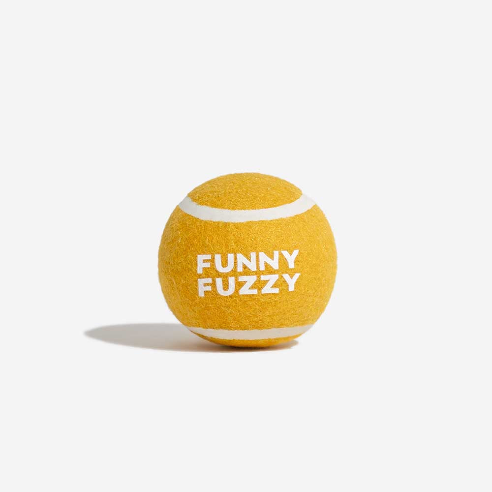 Tennis Ball Dog Toy - Squeaky & Bounce