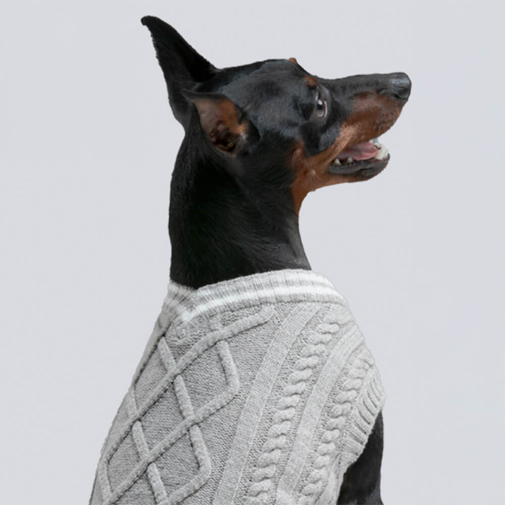 Pull chaud et extensible pour chien et chat, col en V, tricot Argyle, tendance