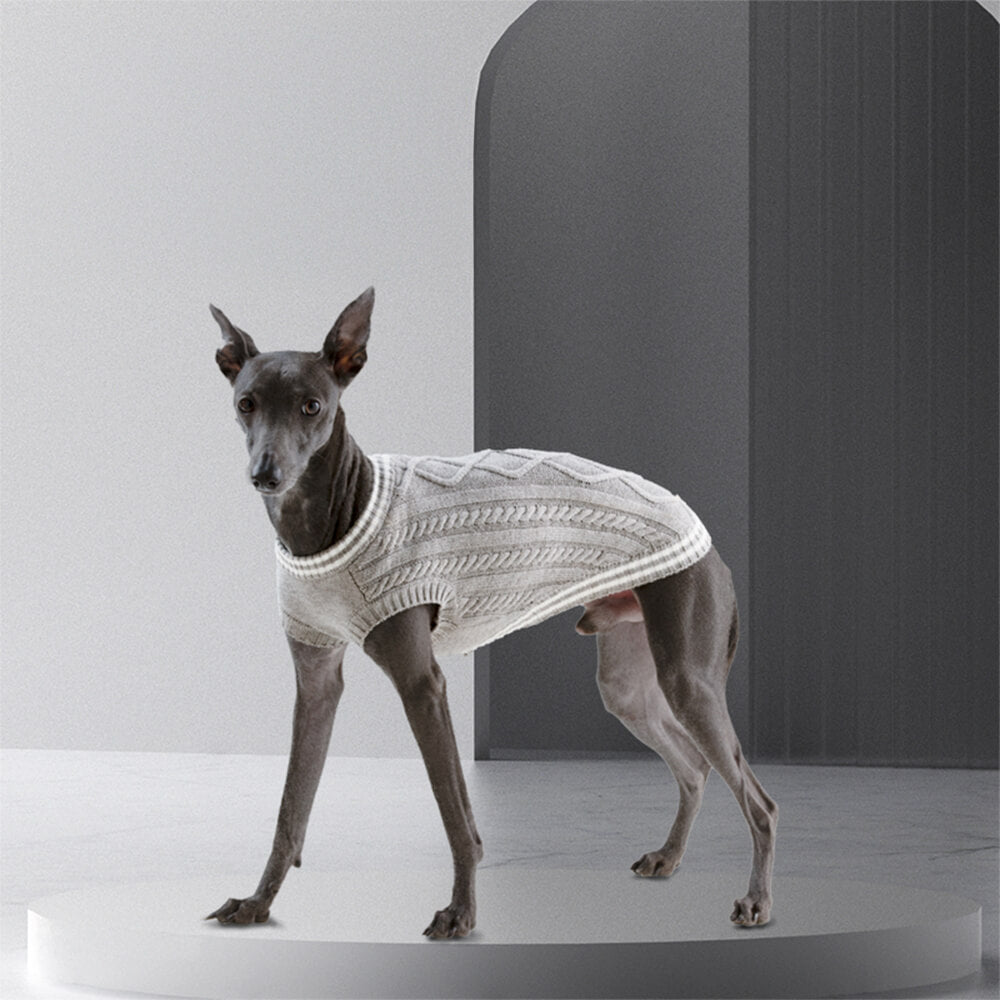 Pull chaud et extensible pour chien et chat, col en V, tricot Argyle, tendance