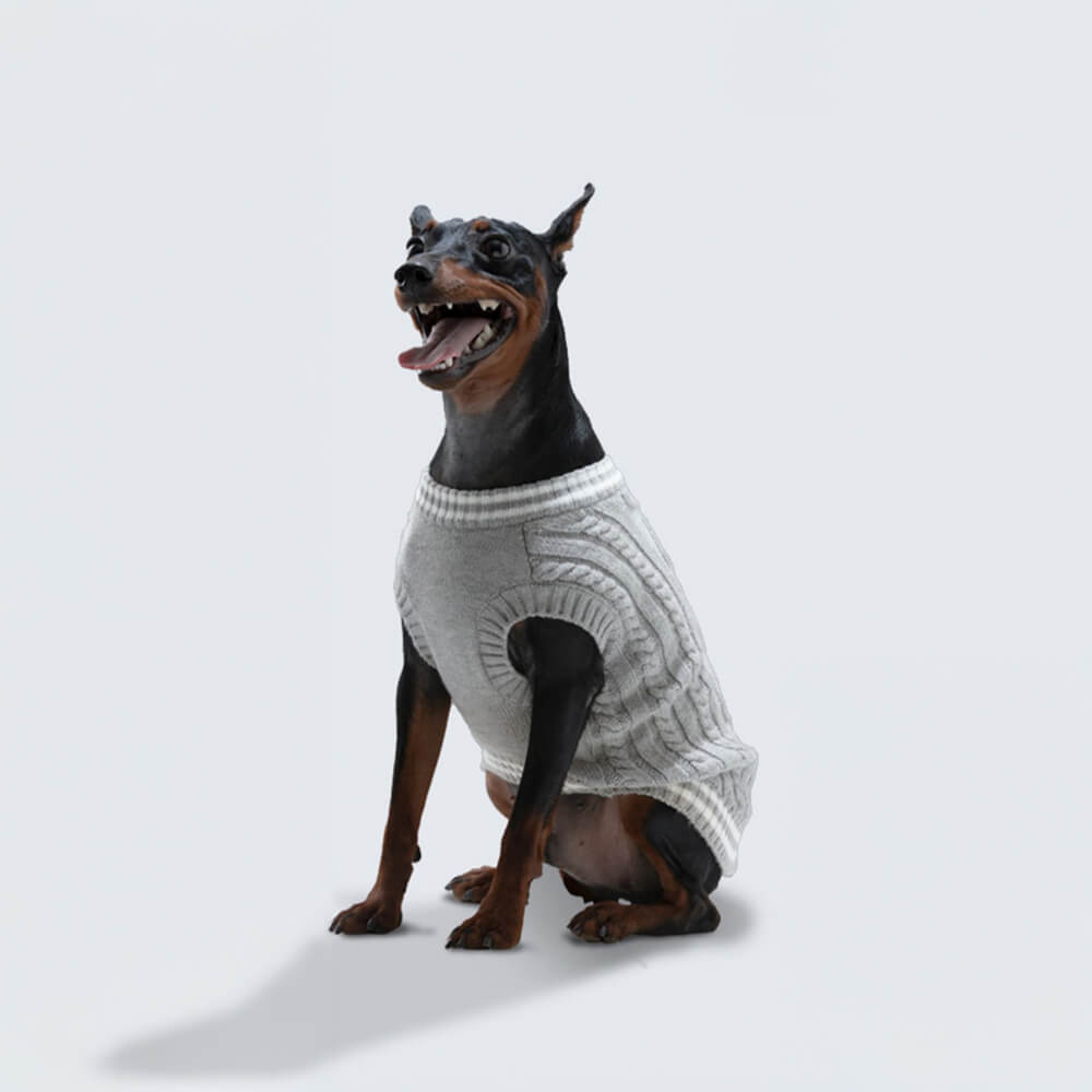 Pull chaud et extensible pour chien et chat, col en V, tricot Argyle, tendance