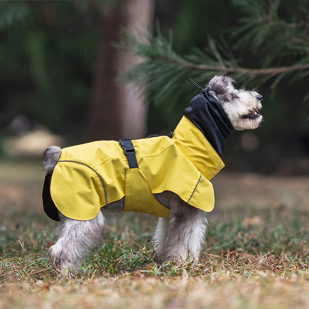 Poncho imperméable léger et réfléchissant à col roulé pour chien, imperméable et réglable