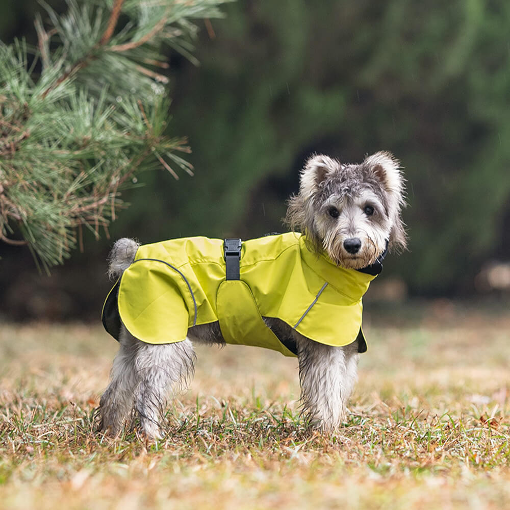 Poncho imperméable léger et réfléchissant à col roulé pour chien, imperméable et réglable