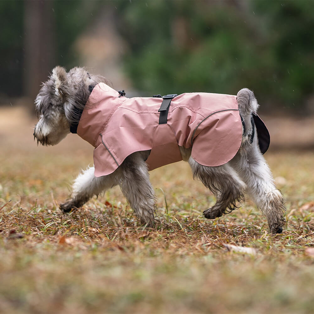 Poncho imperméable léger et réfléchissant à col roulé pour chien, imperméable et réglable