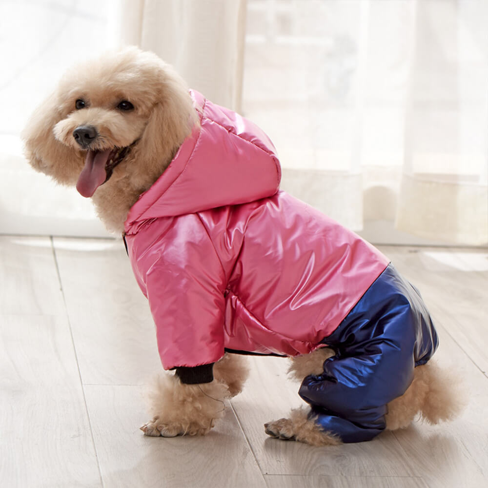 Manteau à capuche imperméable et coupe-vent pour chien avec fermeture à pression