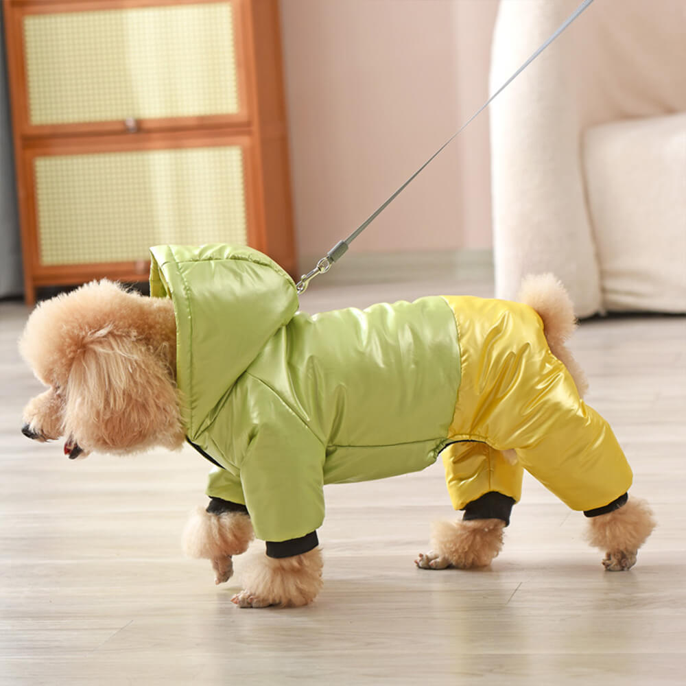 Manteau à capuche imperméable et coupe-vent pour chien avec fermeture à pression