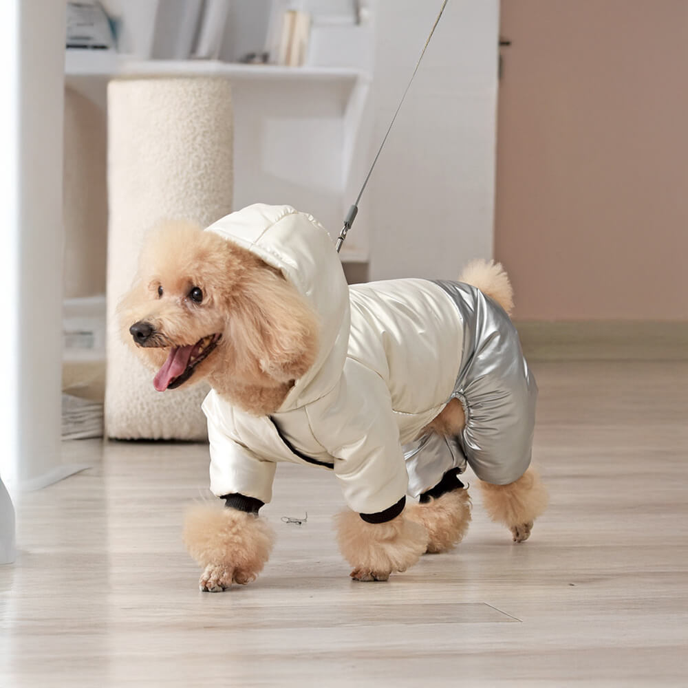 Manteau à capuche imperméable et coupe-vent pour chien avec fermeture à pression