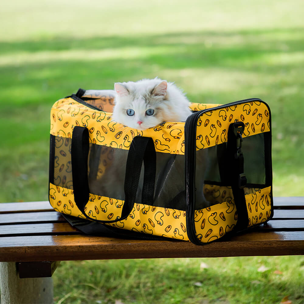 Breathable Mesh Foldable Lightweight Travel Dog & Cat Carrier Bag
