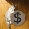 Schema gatto a doppia faccia a doppia faccia del dollaro