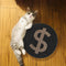 Schema gatto a doppia faccia a doppia faccia del dollaro