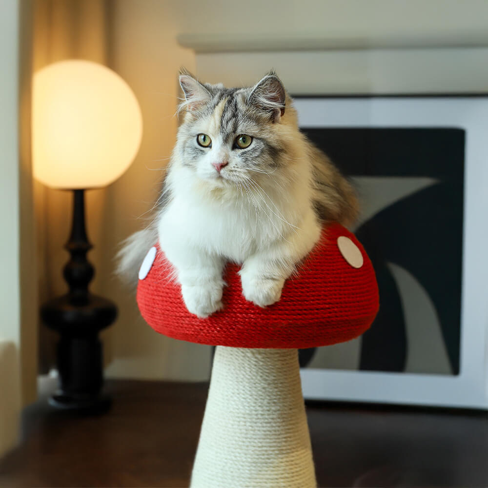 Mushroom-Shaped Natural Sisal Scratching Post for Large Cats