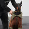 Vintage Flieger-Hundejacke mit Shearling-Futter – warm und stilvoll