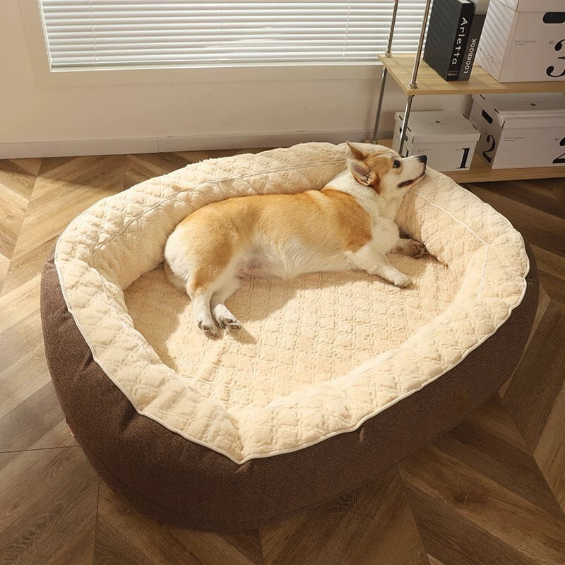 Grand lit ovale pour chien à sommeil profond et moelleux
