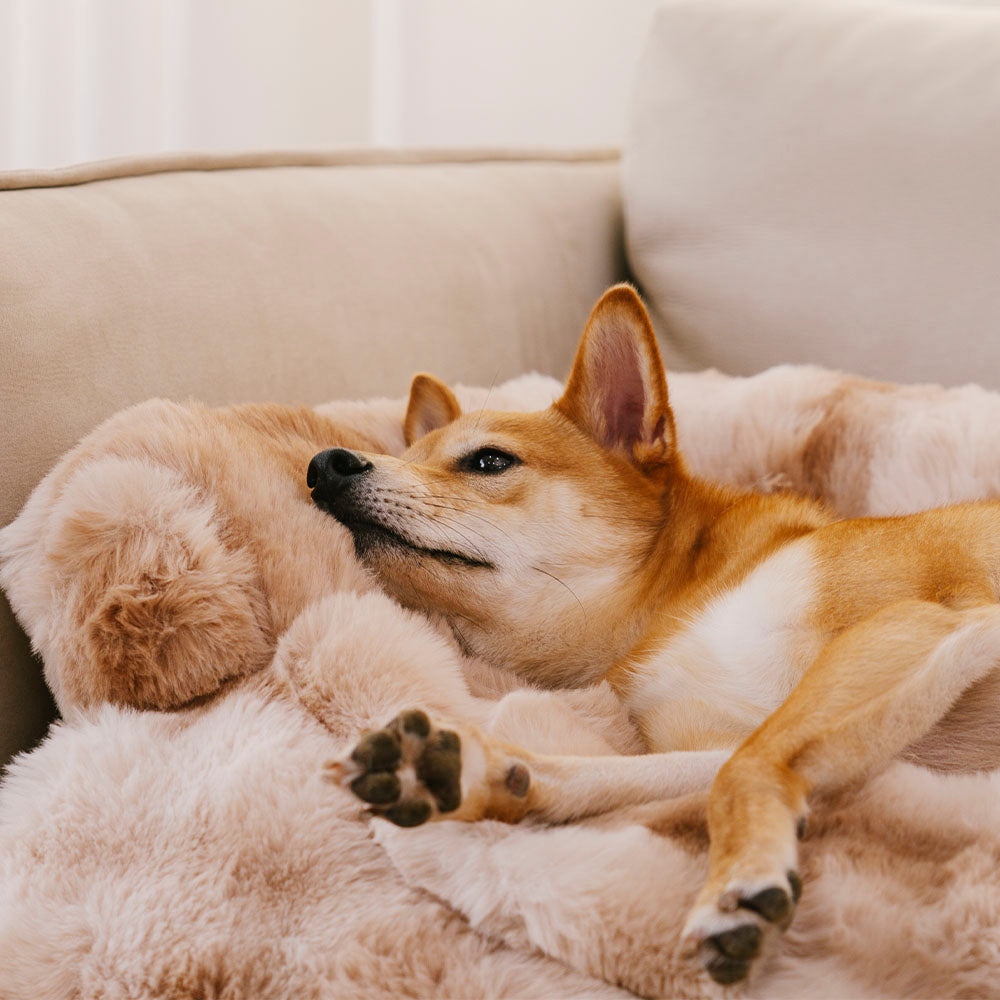 Flauschige, flauschige, beruhigende Hundebett-Sofaschutz-Haustiermatte